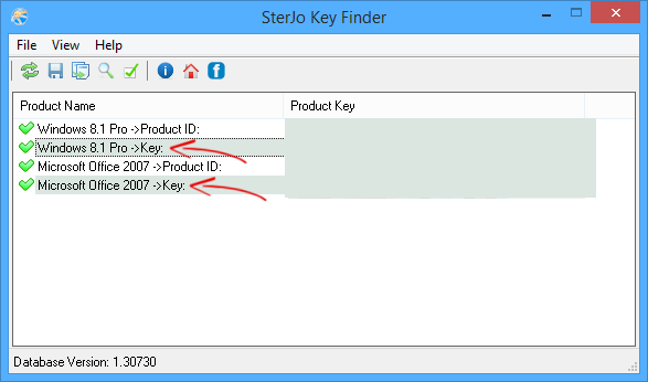 trovare product key windows